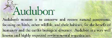 Audubon