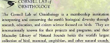 Cornell Lab