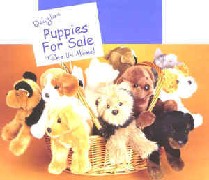 Puppies for sale