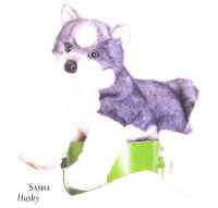 Sasha Husky